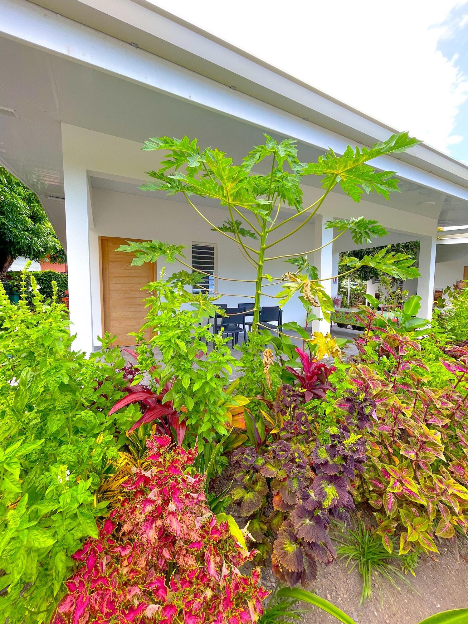 Vista Exterior Pension Pare Lodge Tahiti