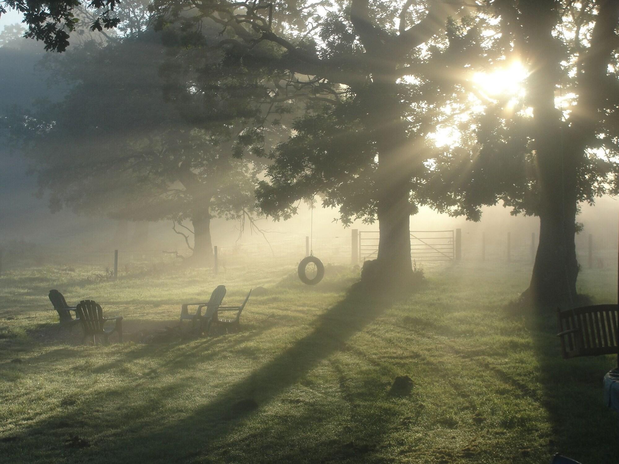 Salón de Baile Dunroamin