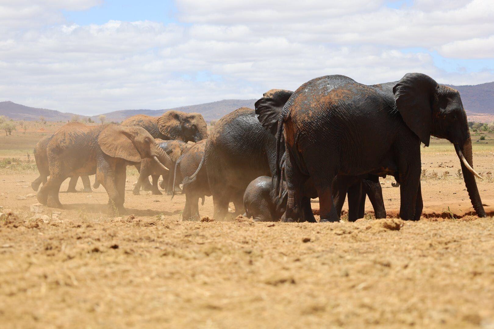 Instalaciones Recreativas Salt Lick Safari Lodge
