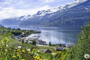 Actividad - Scenic Hardanger Day Tour