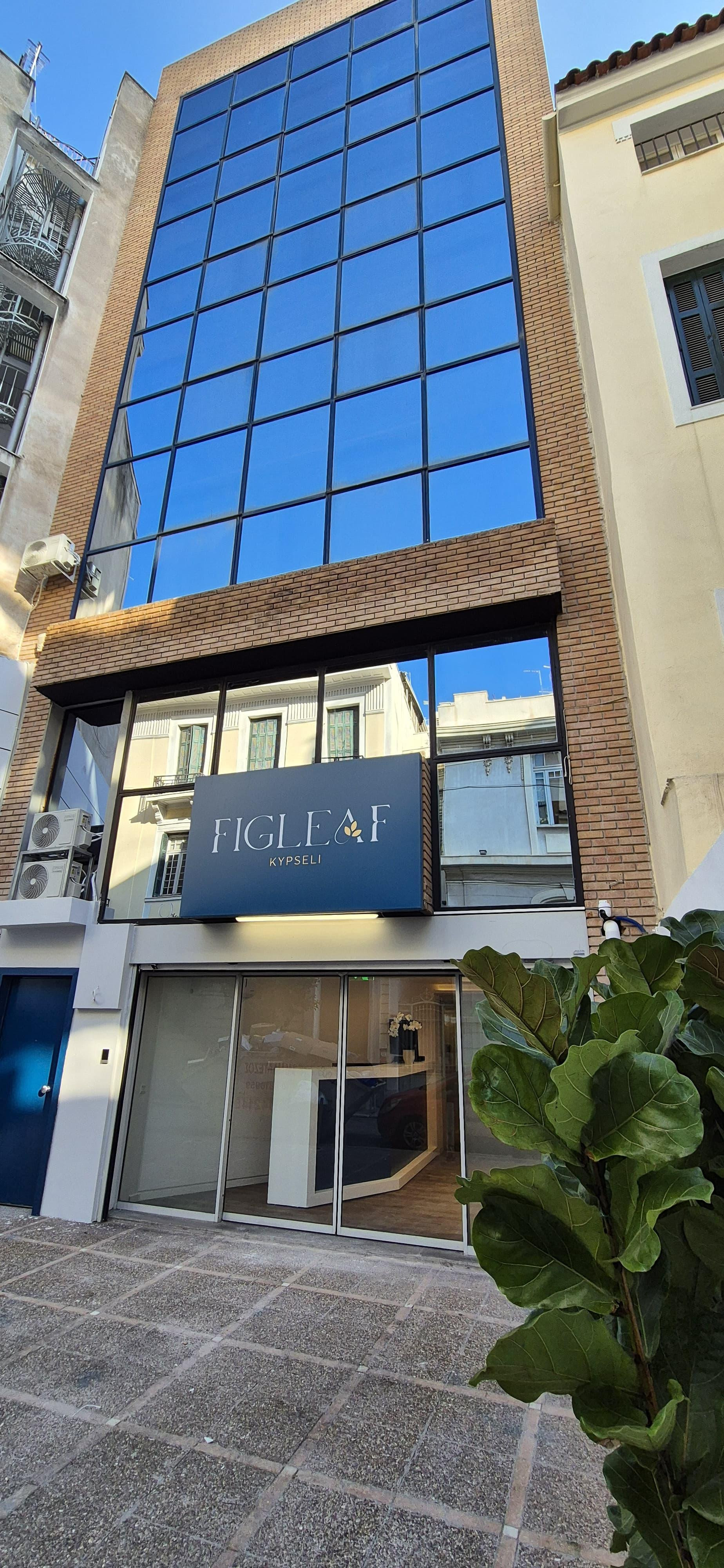 Vista Lobby Figleaf Kypseli