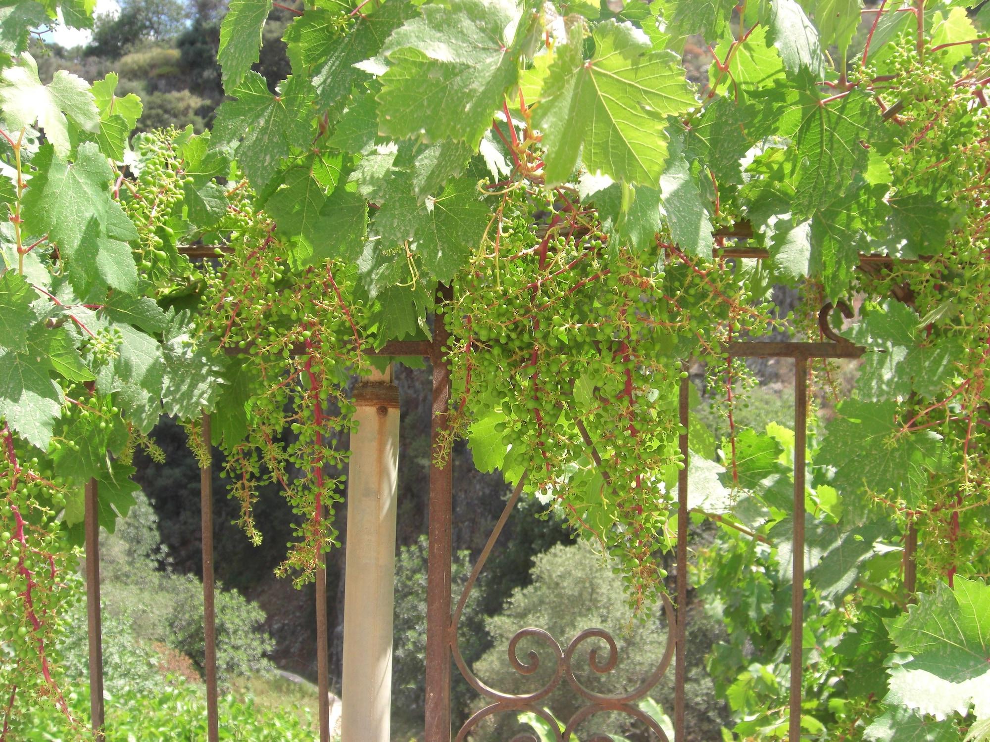 Comodidades del Alojamiento Patriko Traditional Residence