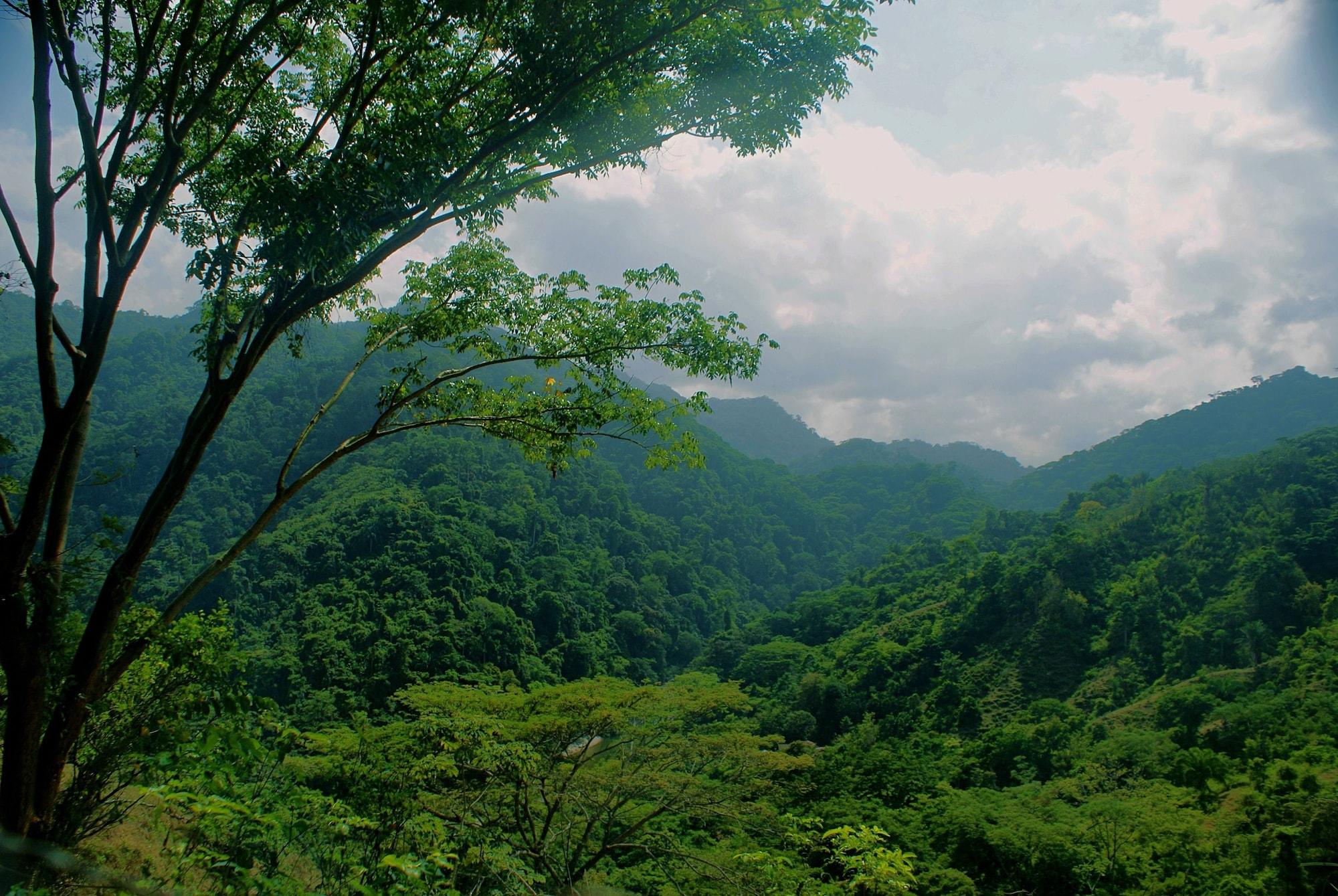 Vista Exterior Taironaka