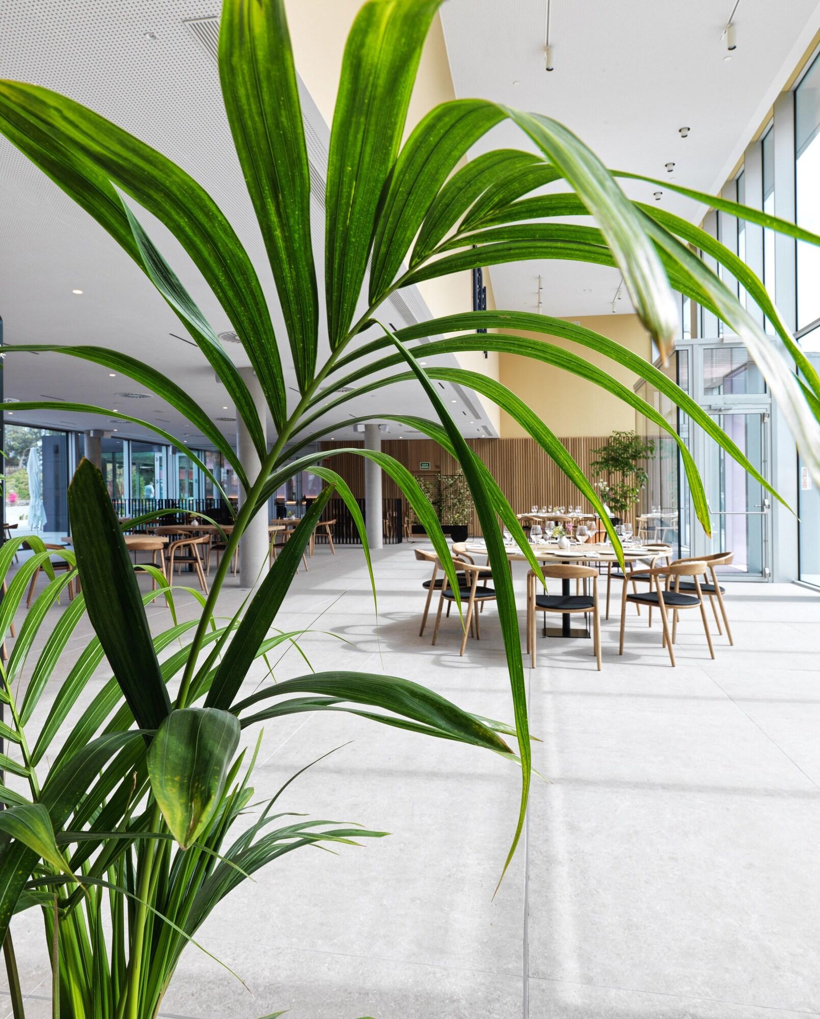 Restaurant Noa Boutique Hotel