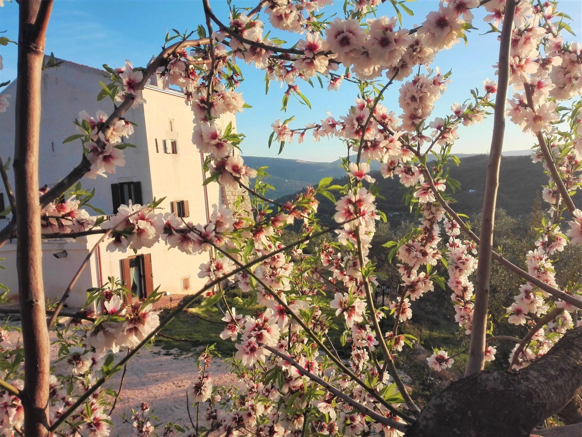 Vista Exterior Torre Bruno