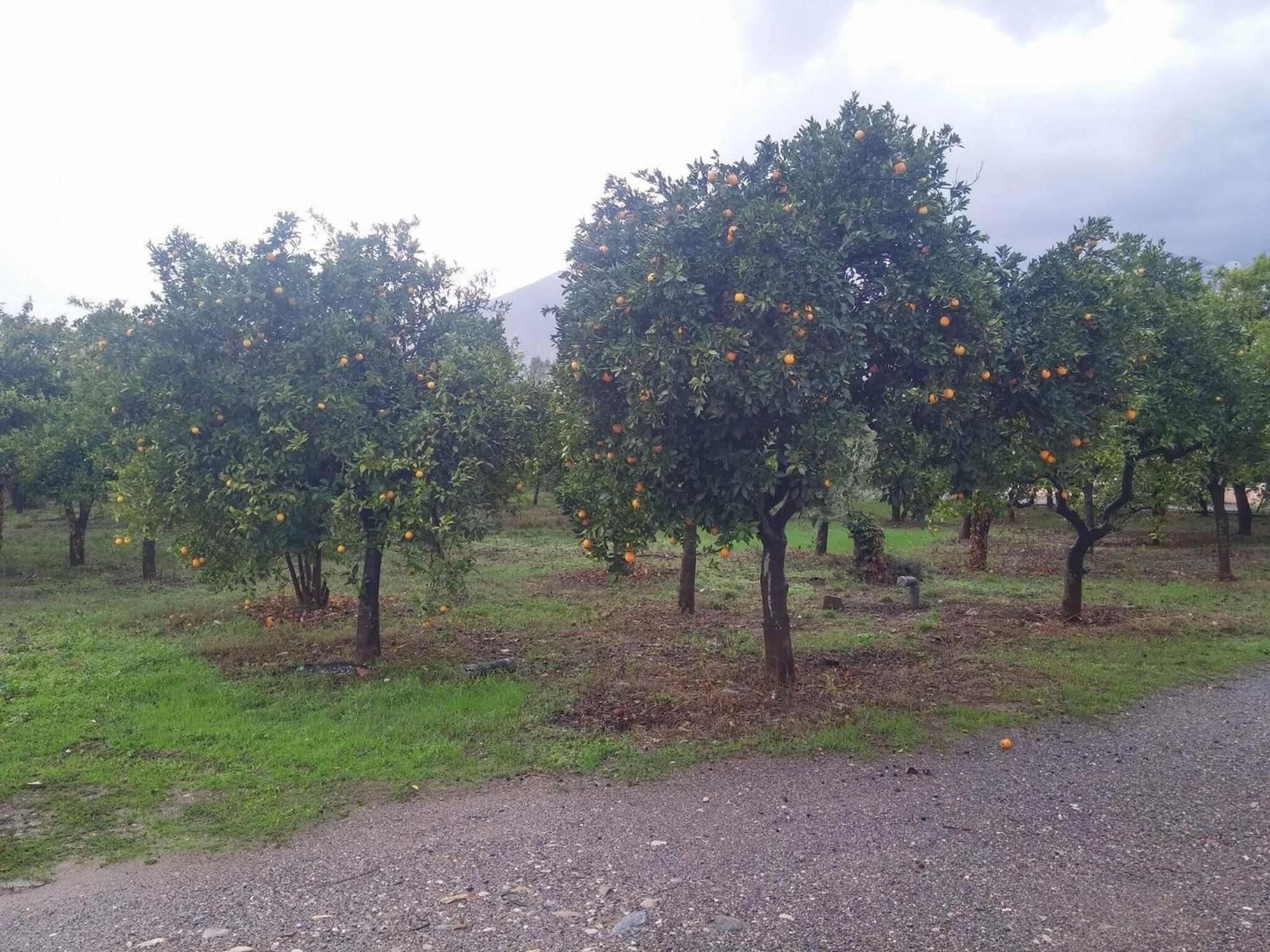 Comodidades del Alojamiento Taygetos