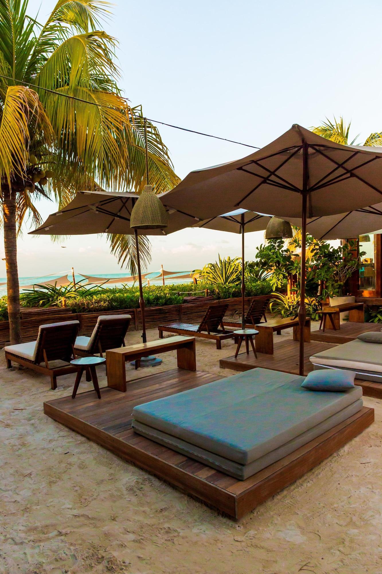 Bar/Salón Hotel Siesta Holbox