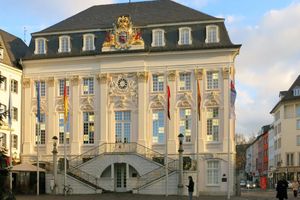 Actividad - Recorrido a pie privado por Bonn