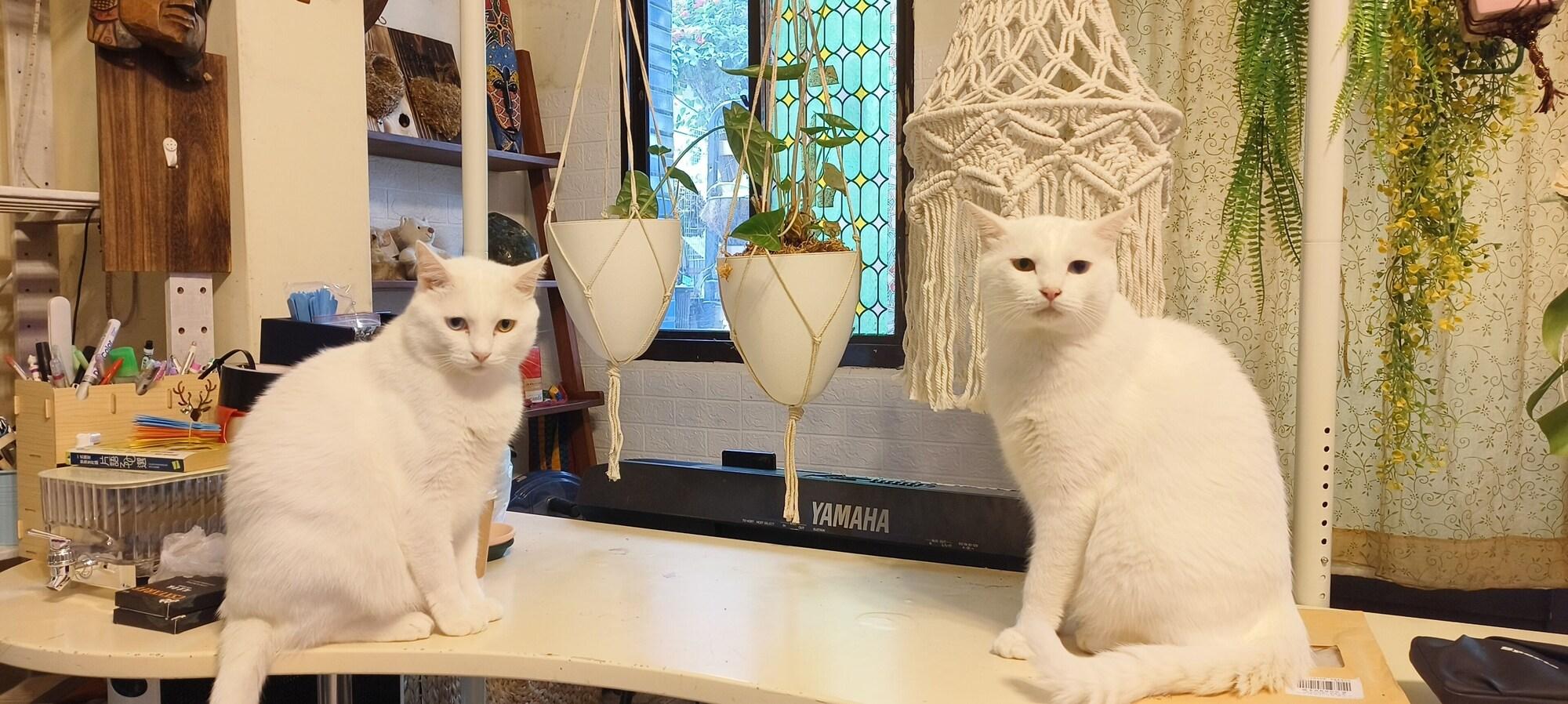 Vista Lobby Nasun bed and breakfast