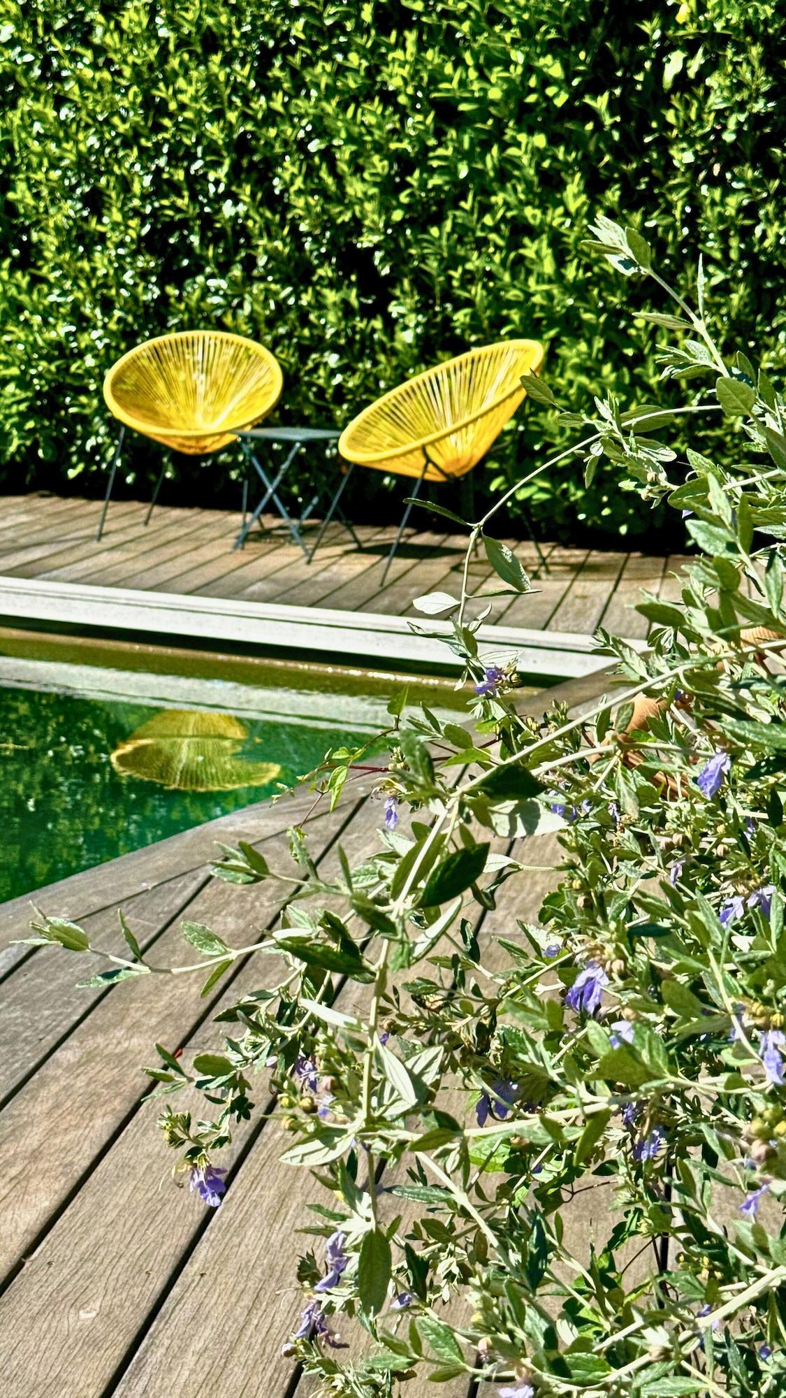 Vista Piscina Artemisia Boutique Hôtel