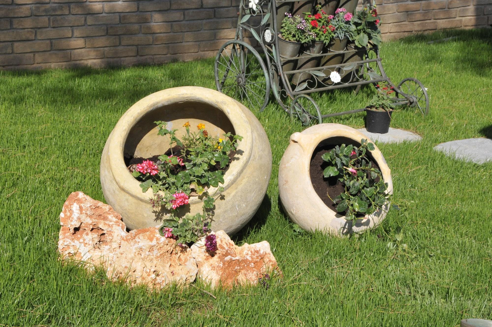 Vista Exterior Elysion Hotel