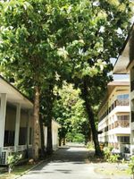 Alojamiento - Century Langkasuka Resort Langkawi