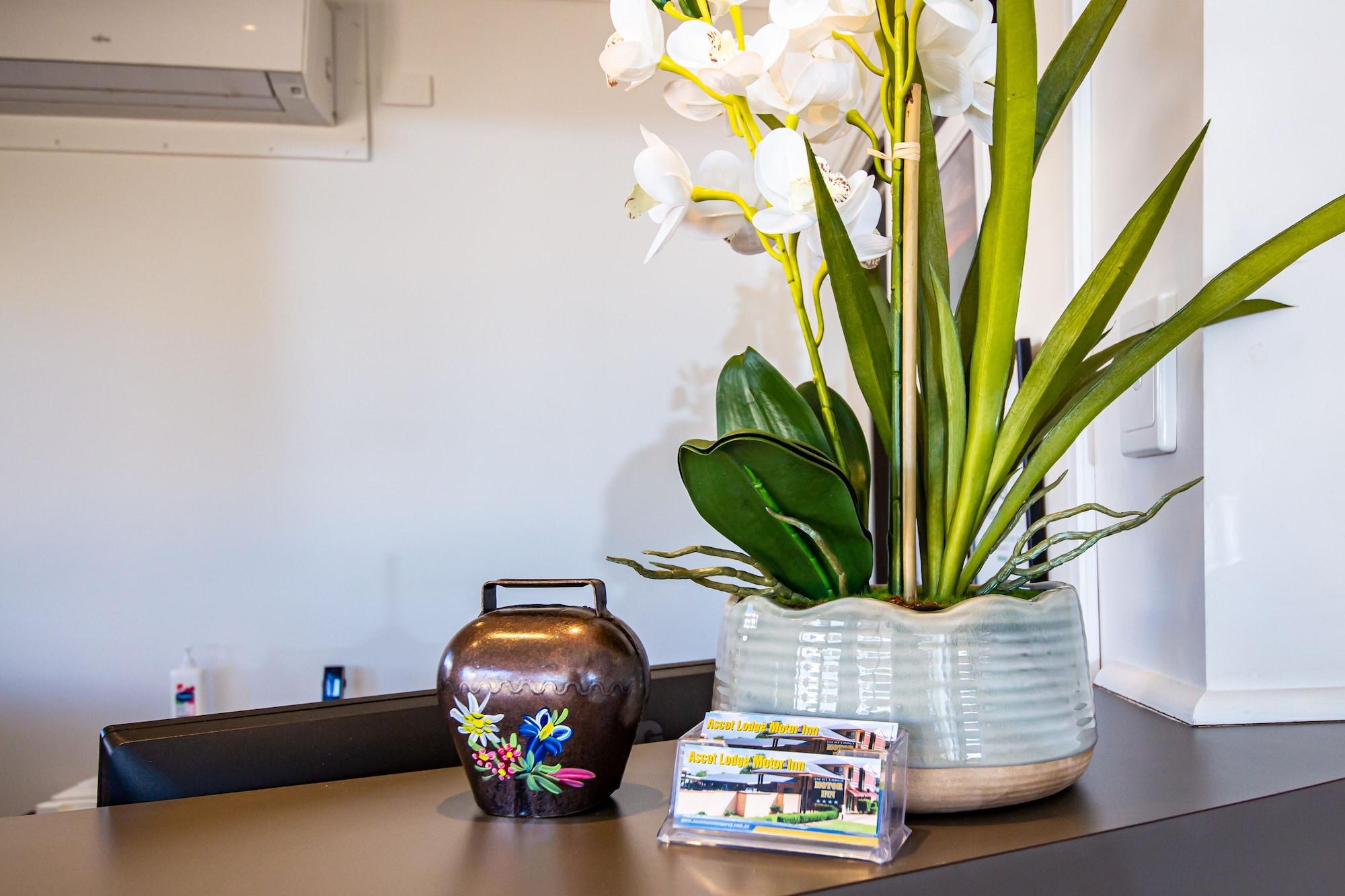 Vista Lobby Ascot Lodge Motor Inn Kingaroy