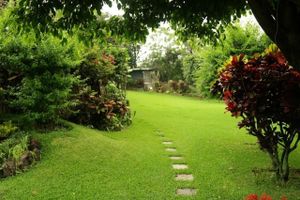 Alojamiento - Villa el Rosario