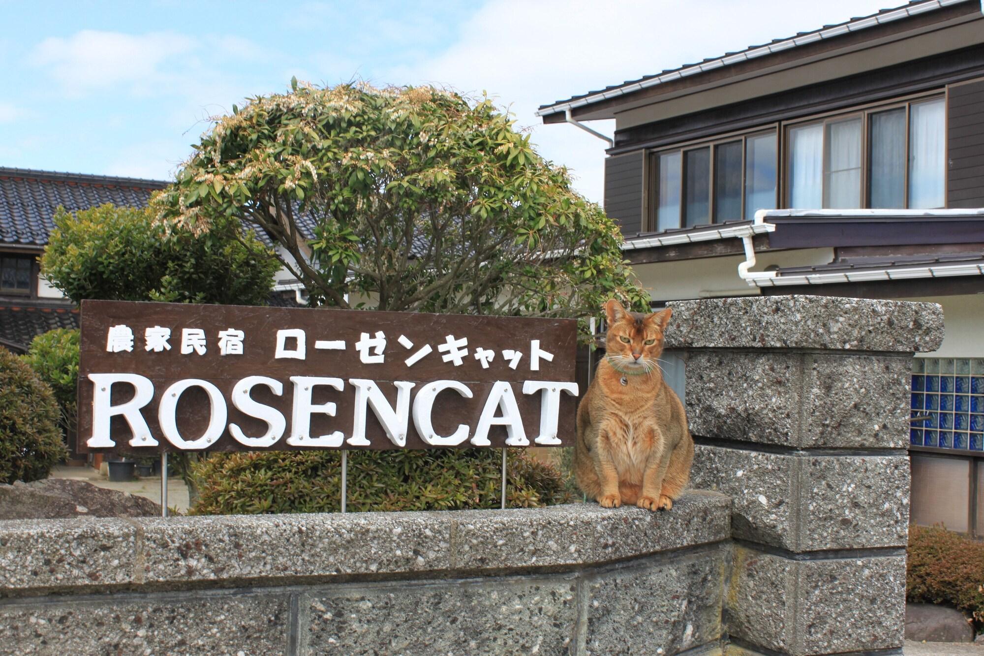 Varios ROSENCAT