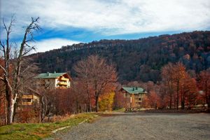 Vuelo - Vuelos a Chillan