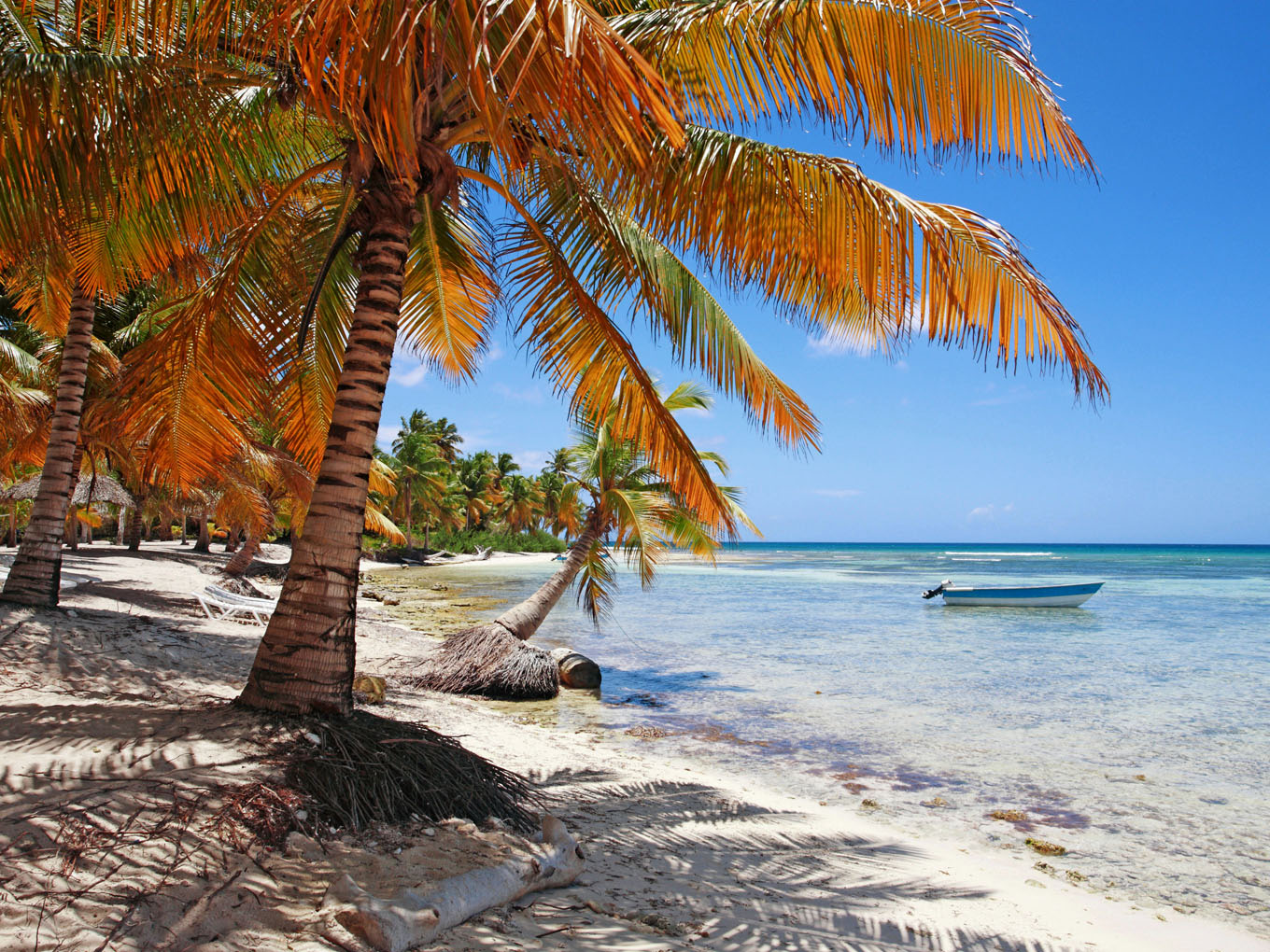 Punta Cana