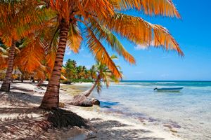 Paquete - Paquetes a Punta Cana