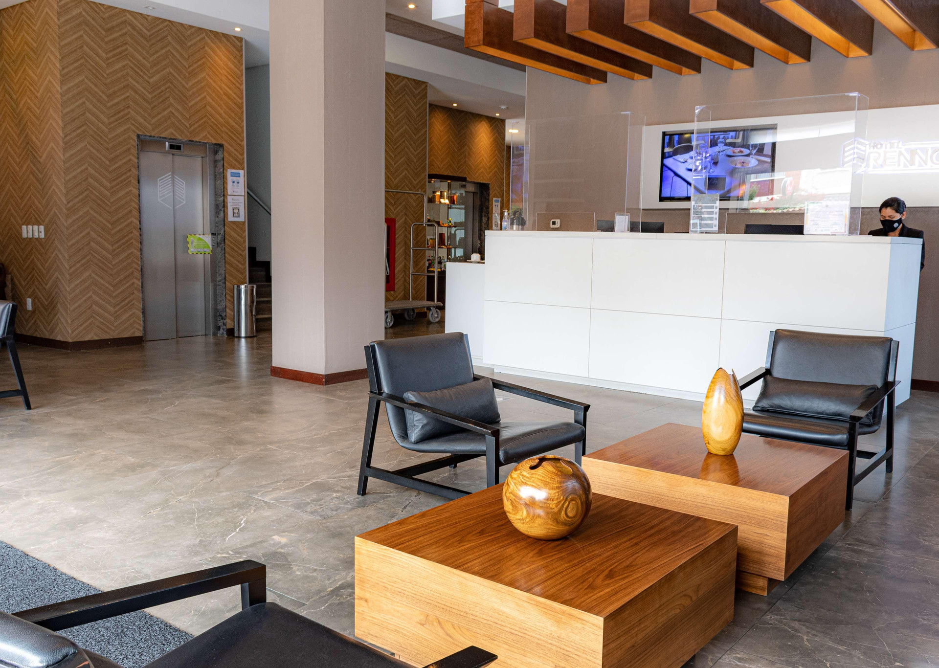 Vista Lobby Hotel Rennova
