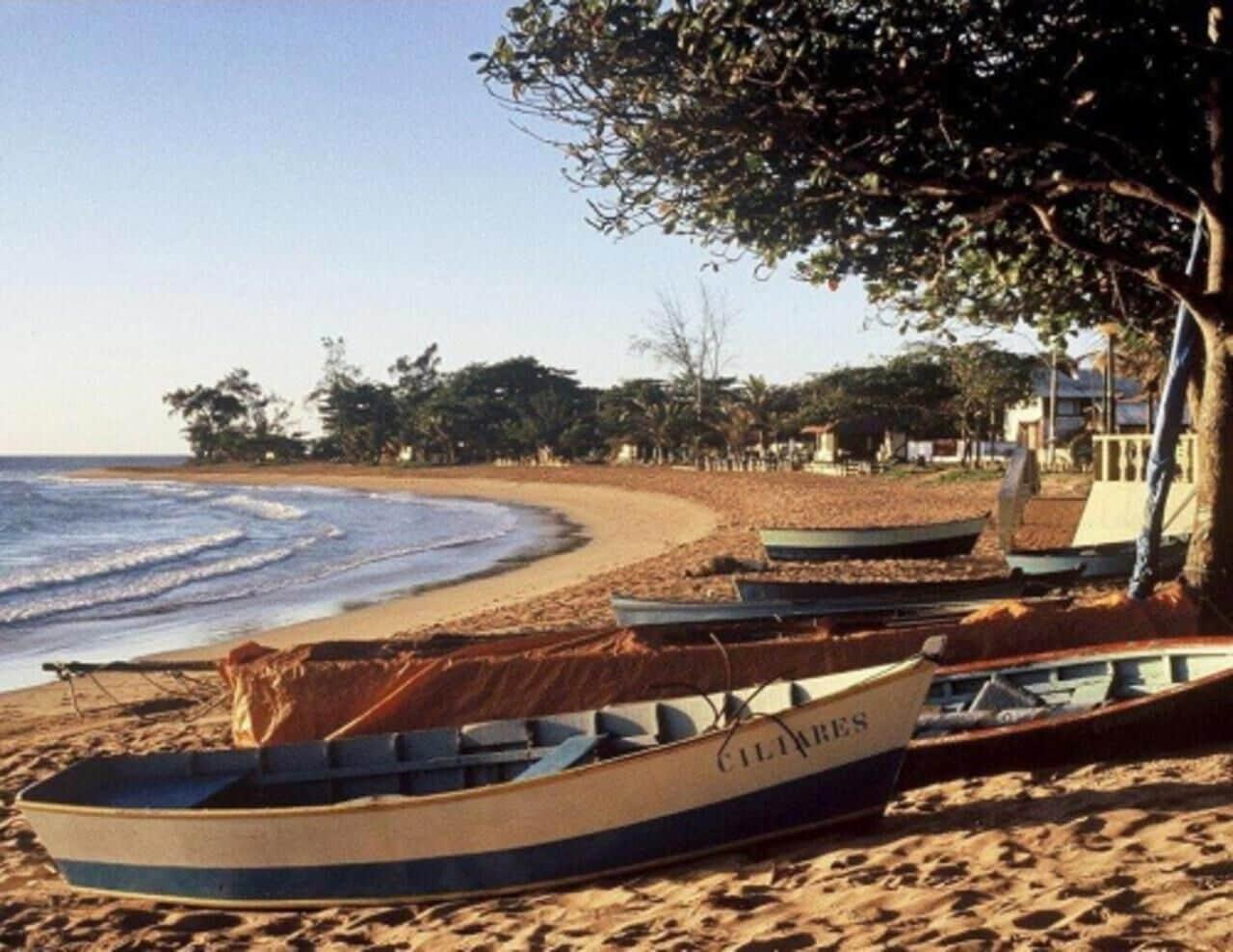 Praia Hotel Jardins