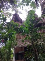 Alojamiento - Nunkai La Punta - Hostel
