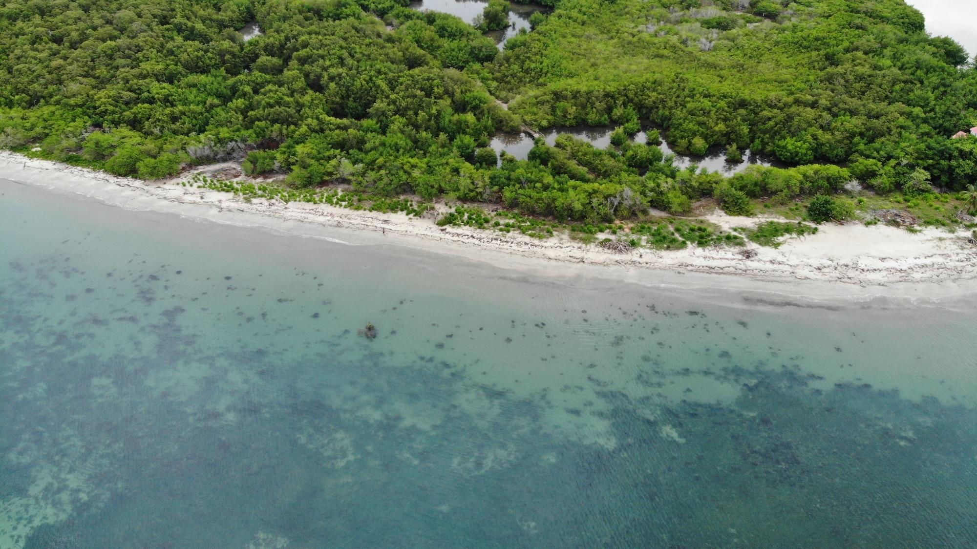 Playa RINCON DEL MANGLE