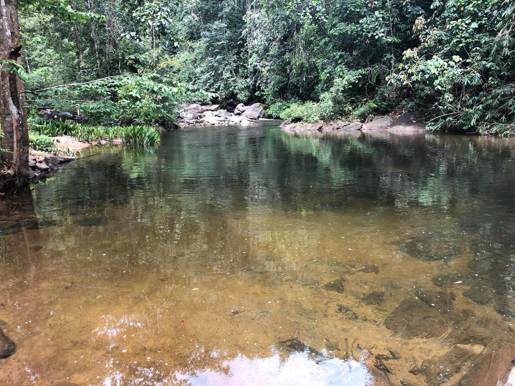 Varios Jansens Bungalow Sinharaja