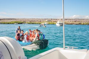 Actividad - LT-Galápagos en 6 días: Volcanes y Vida Silvestre