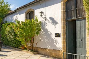 Actividad - Visita a las Bodegas Álvaro Domecq