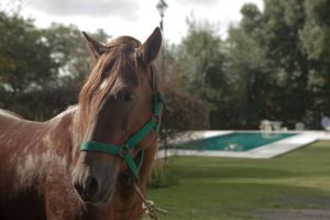 Alojamiento - Las Moras Hotel