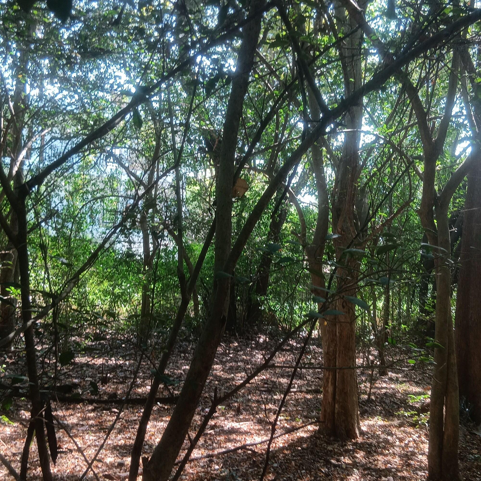 Vista Exterior Eden Grand