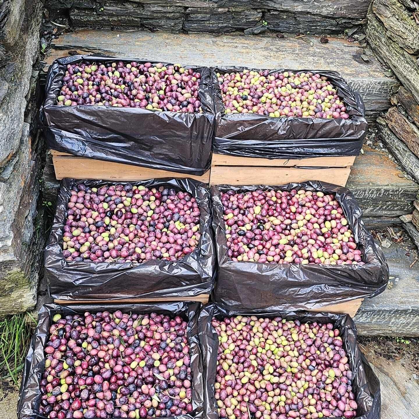 Instalaciones Recreativas Quinta de Raj