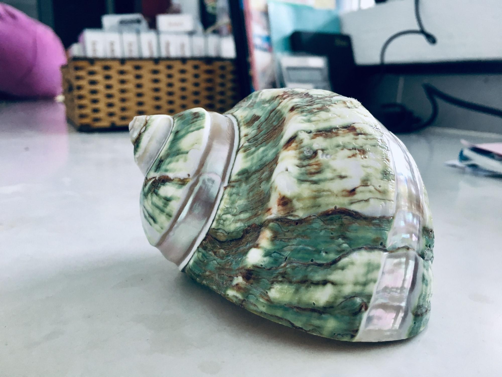 Vista Exterior Coto Eco Lodge