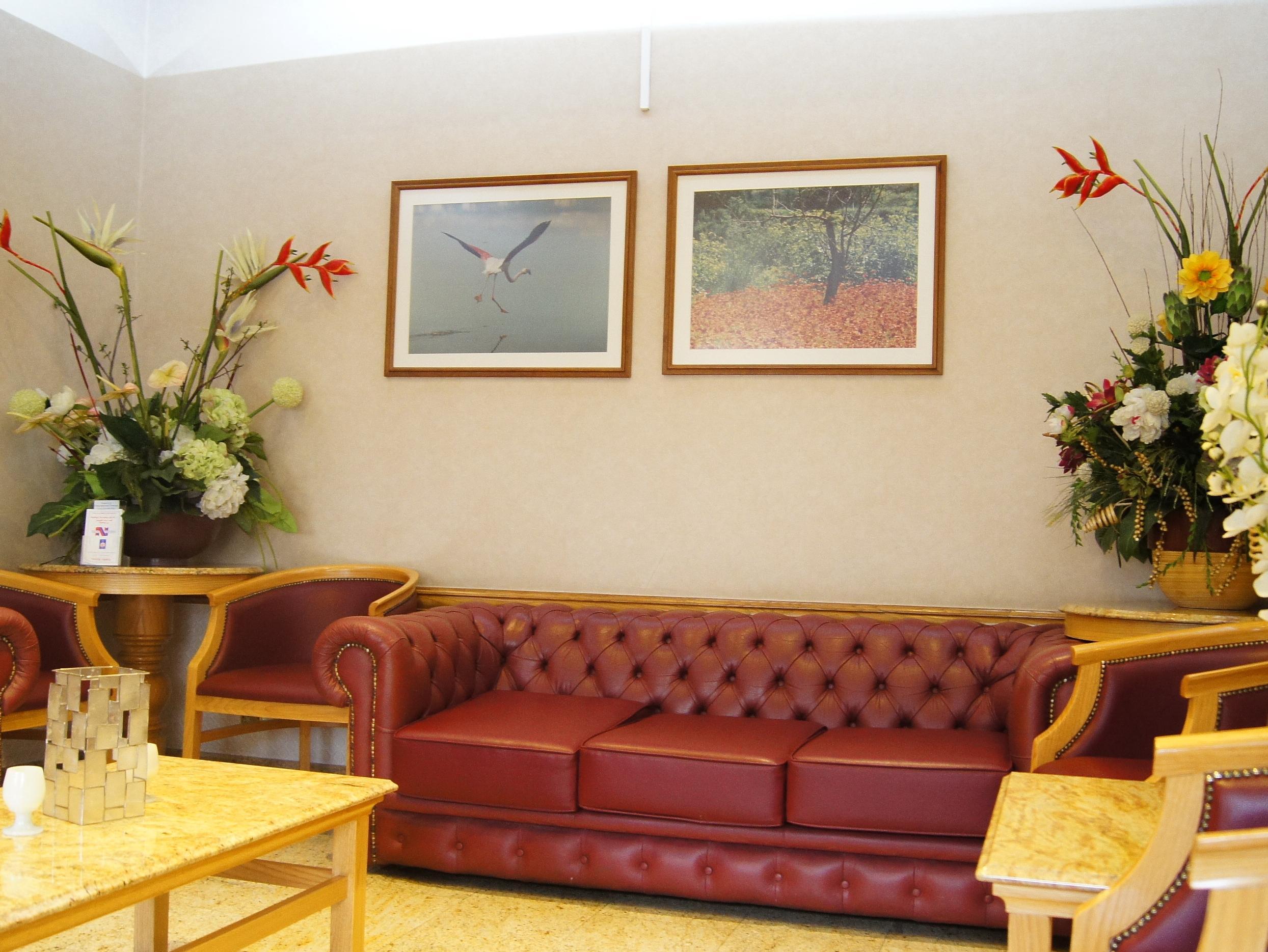 Vista Exterior Nayland Hotel