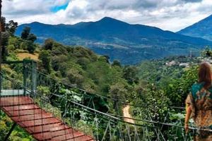 Actividad - Excursión a la finca Paseo de las Nubes