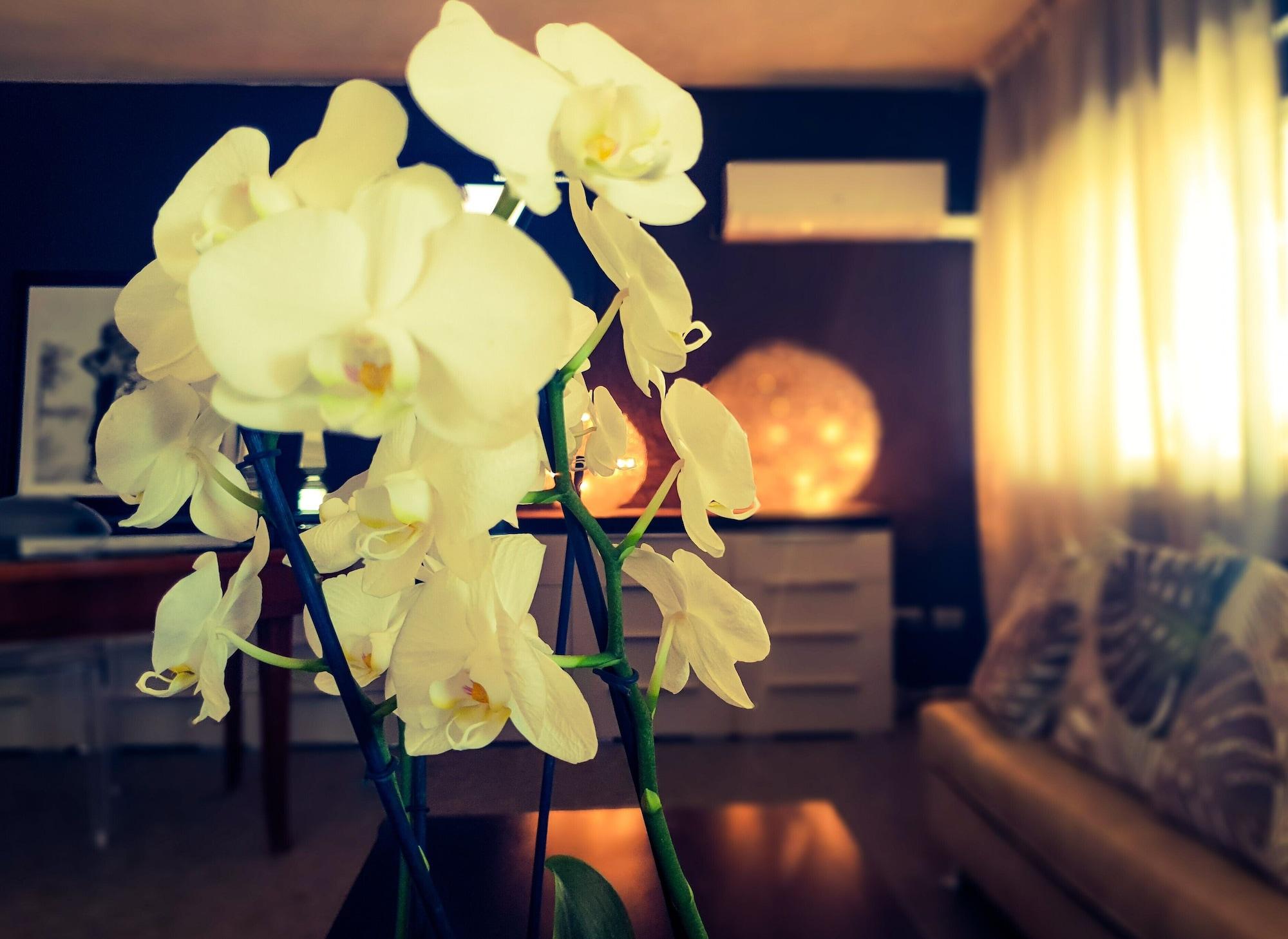 Vista Lobby Hotel Caraibi