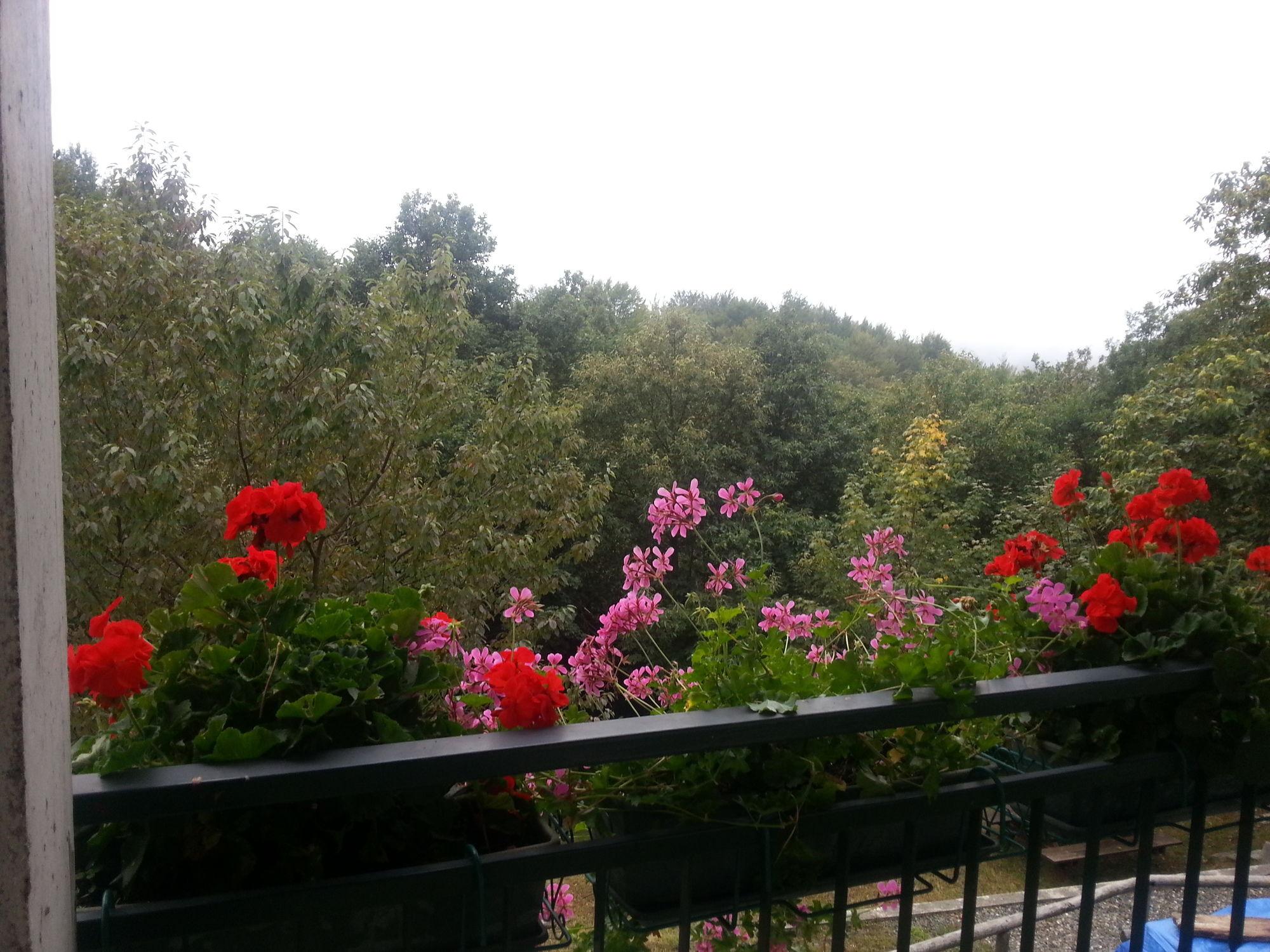 Equipamiento de Habitación La Casa Inglese