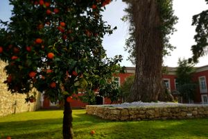 Alojamiento - Palácio São Silvestre - Boutique Hotel