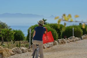 Alojamiento - Tenute Plaia Agriturismo