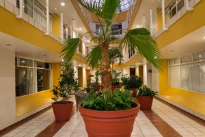 Alojamiento - Hotel Mediterraneo