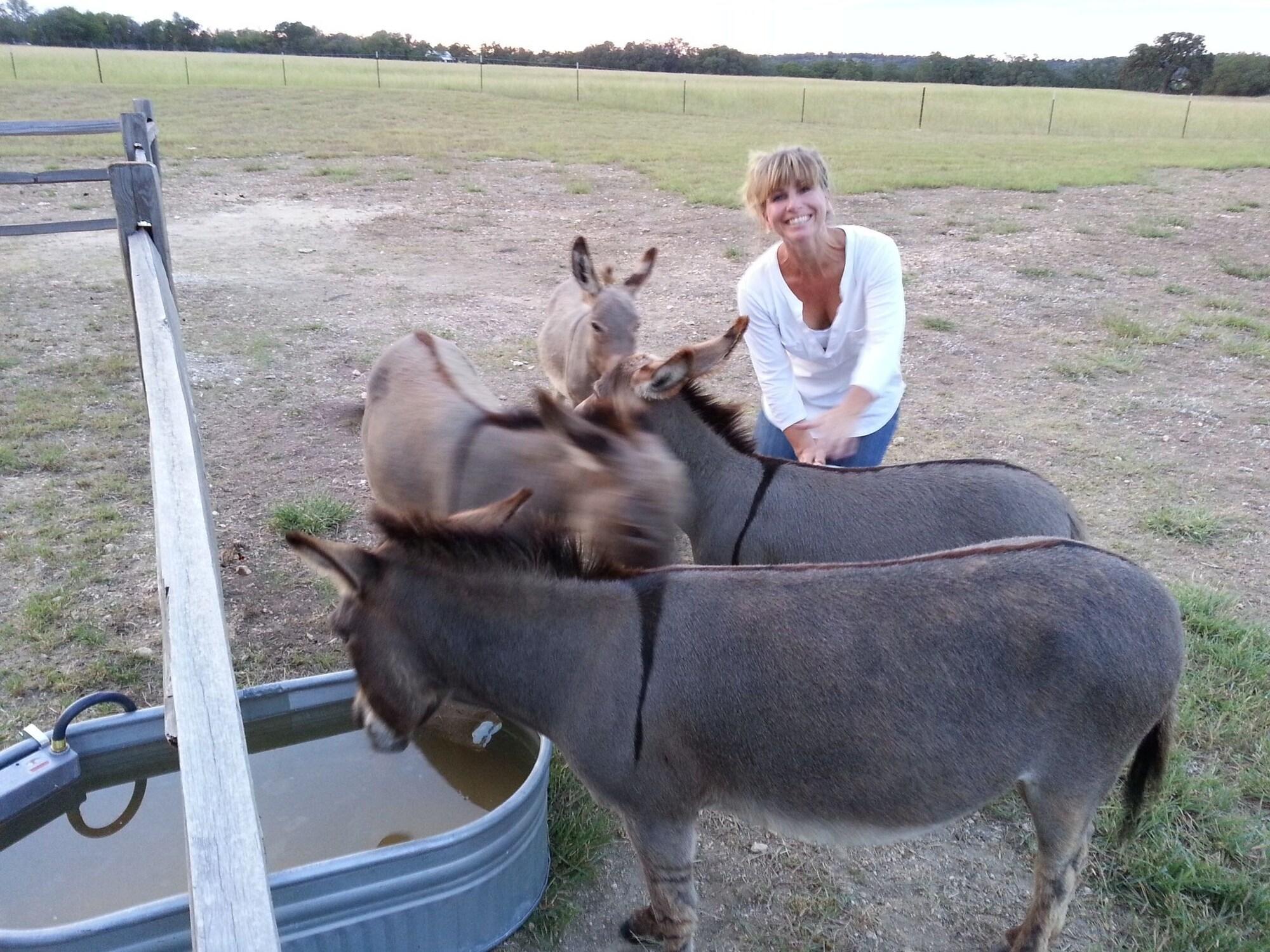 Instalaciones Recreativas TimberRose B&B