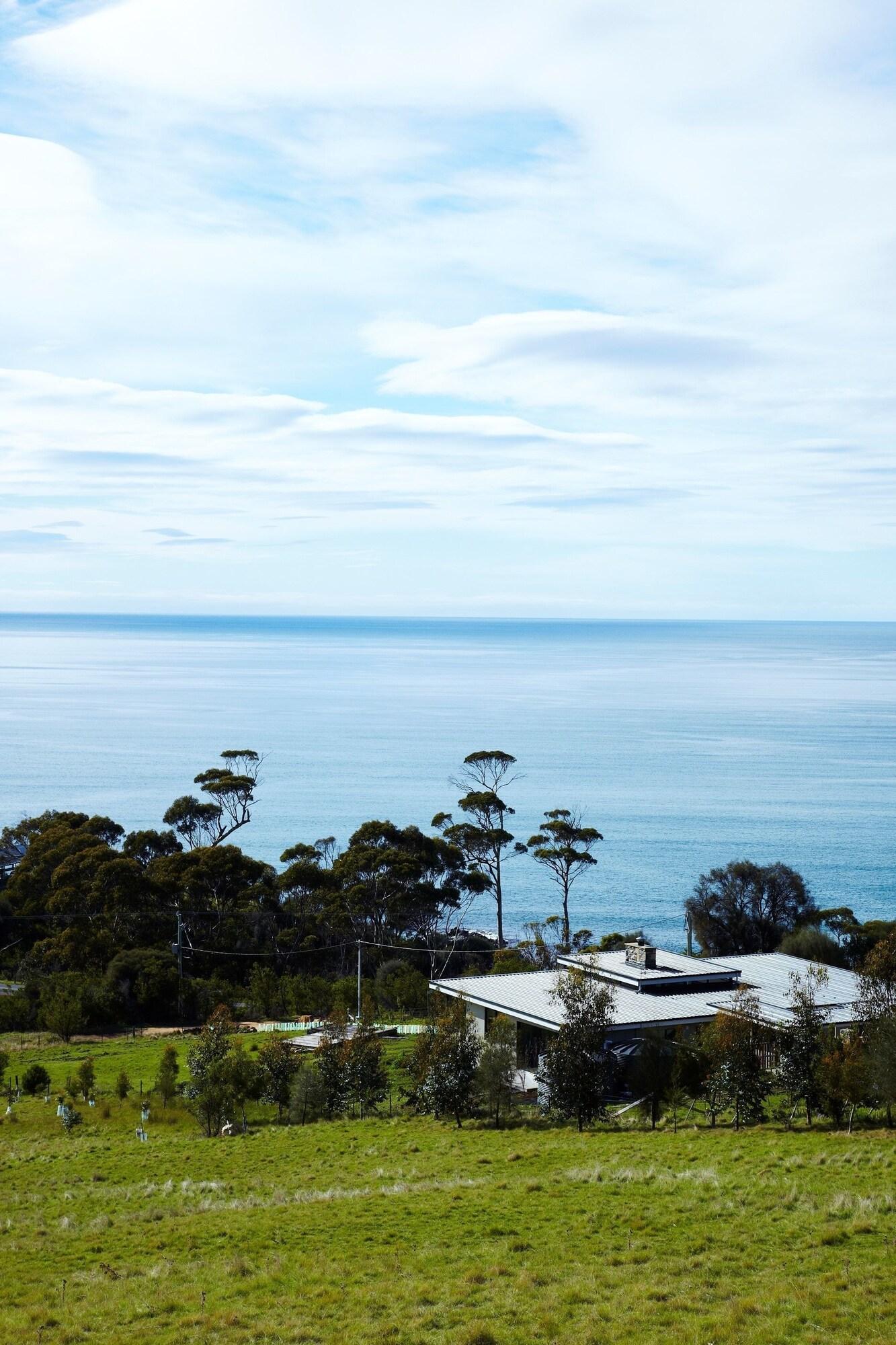 Vista Exterior Dragonfly Lodge