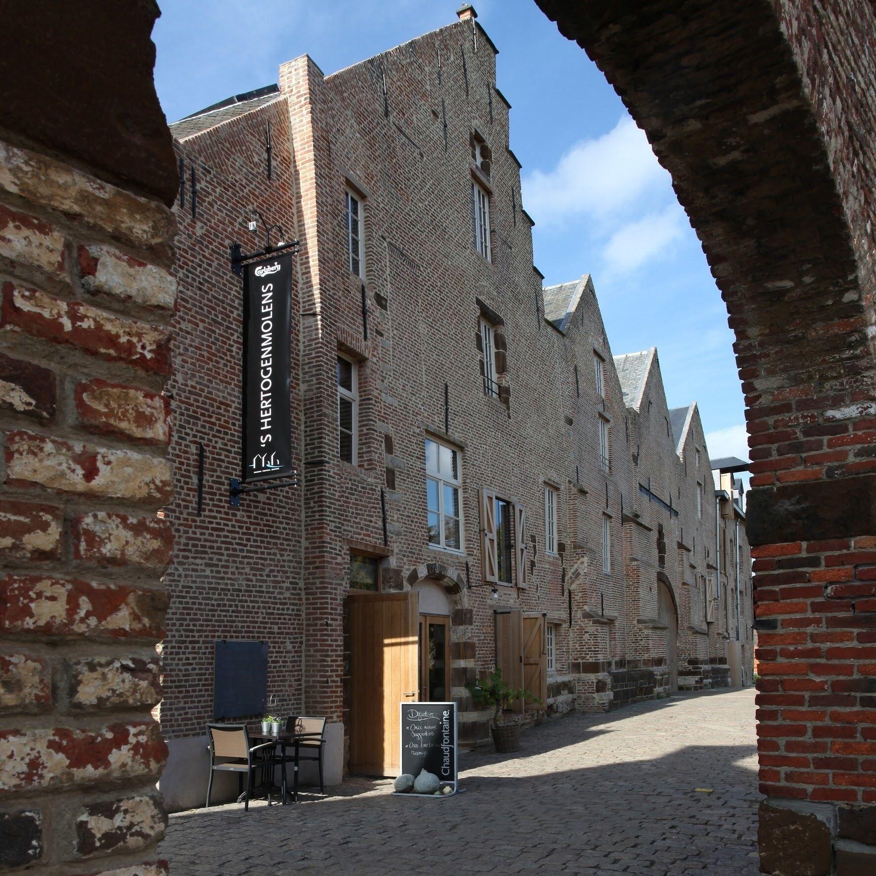 Vista Exterior 'S Hertogenmolens