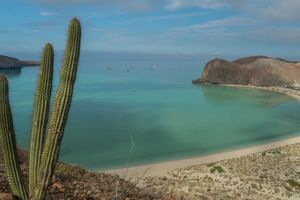 Actividad - Tour por Balandra, Coromuel, La Paz y Todos Santos