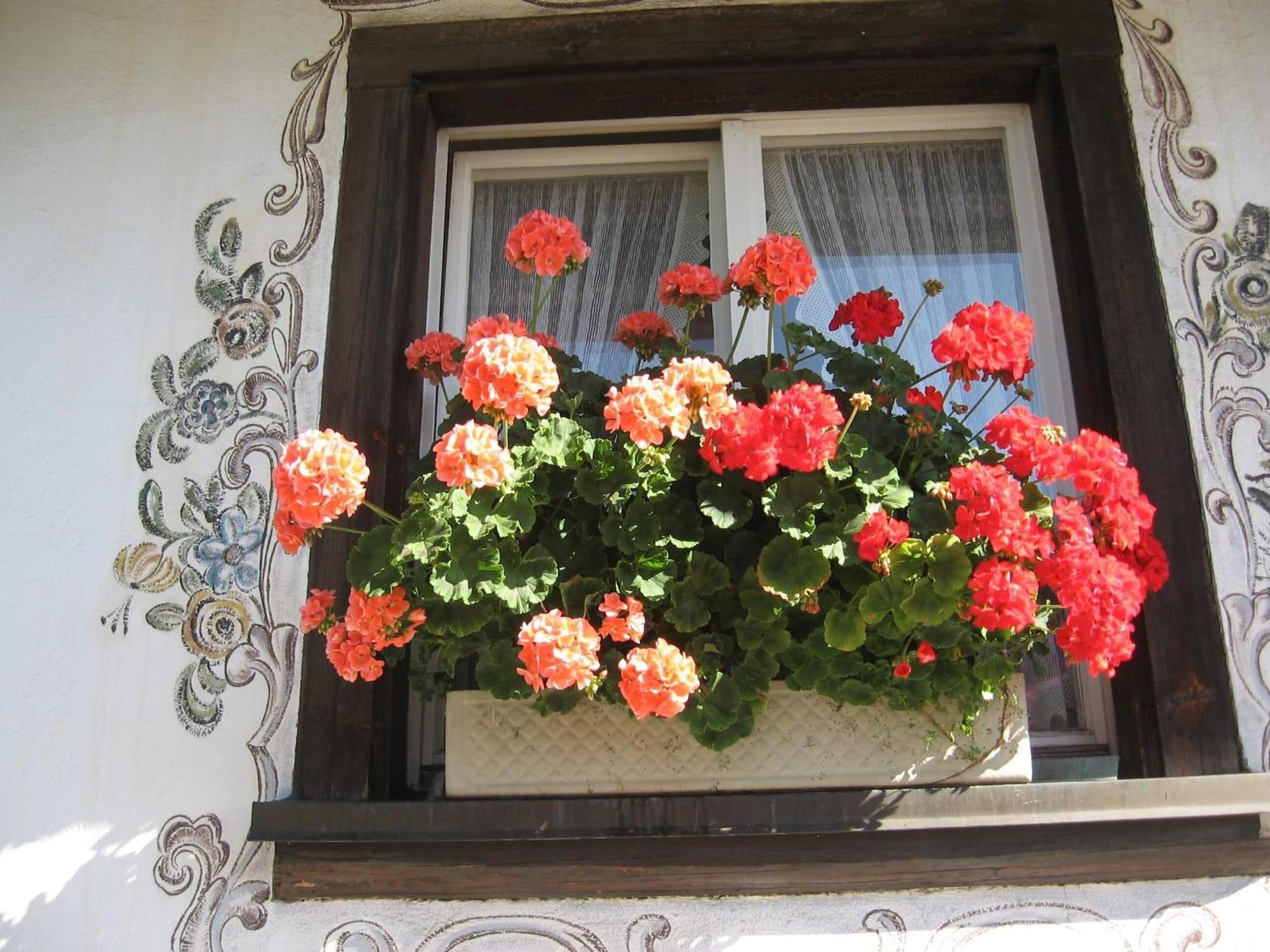 Vista Exterior Pension Kaiserhaus