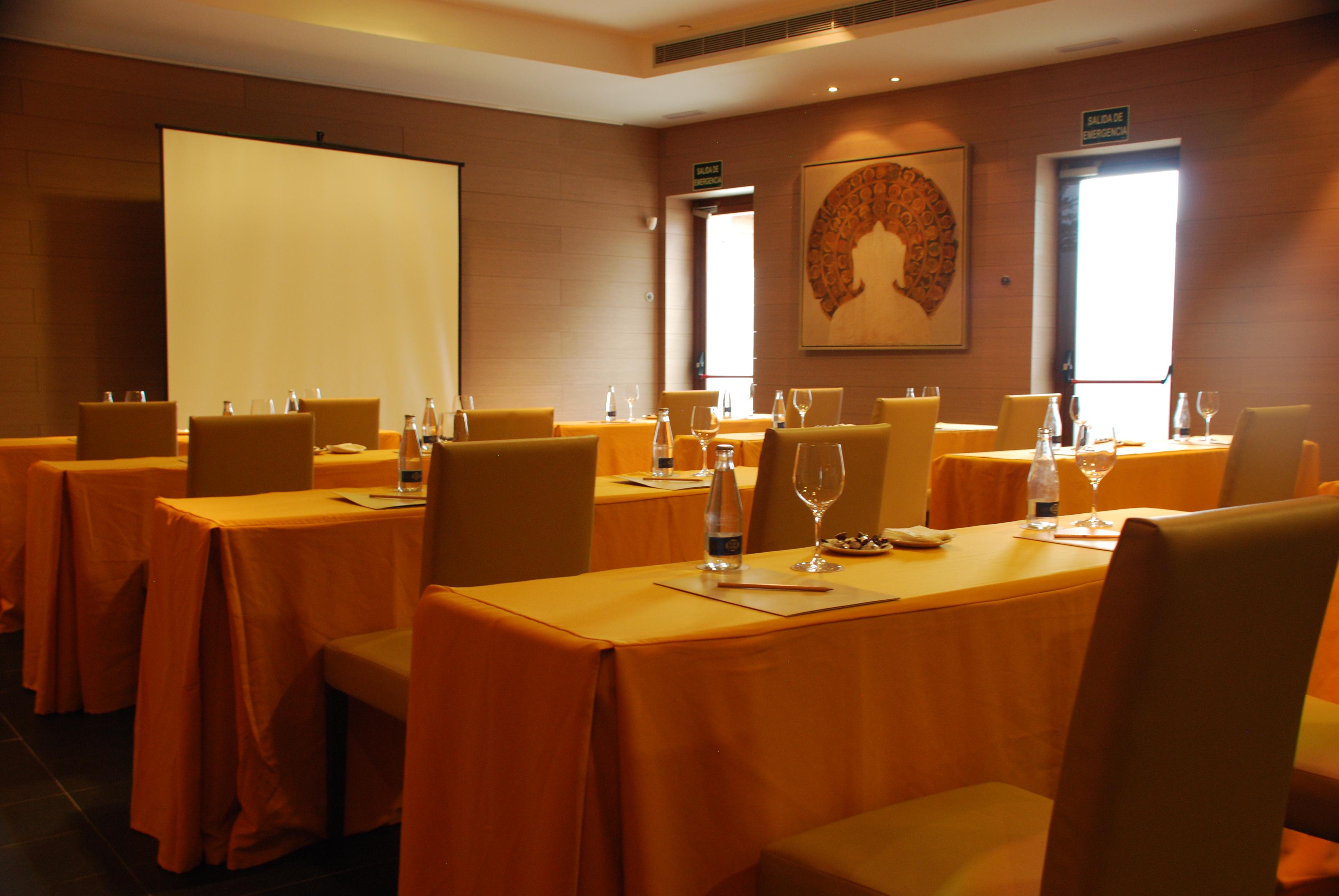 Centro de Negocios Hotel MIM Baqueira