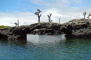 Actividad - Tour Tuneles -Isla Isabela - Desde Isabela