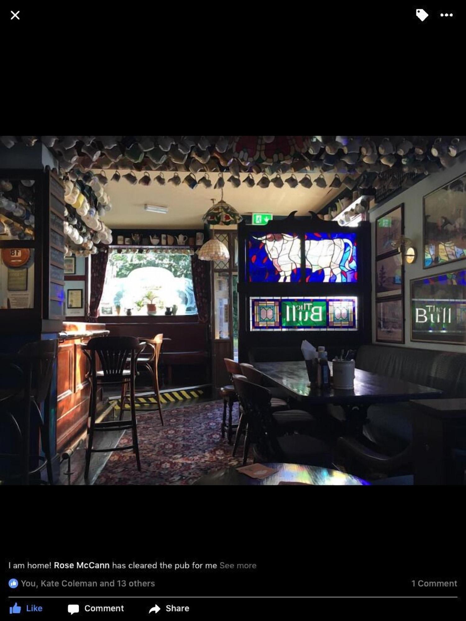 Vista Lobby The Bull