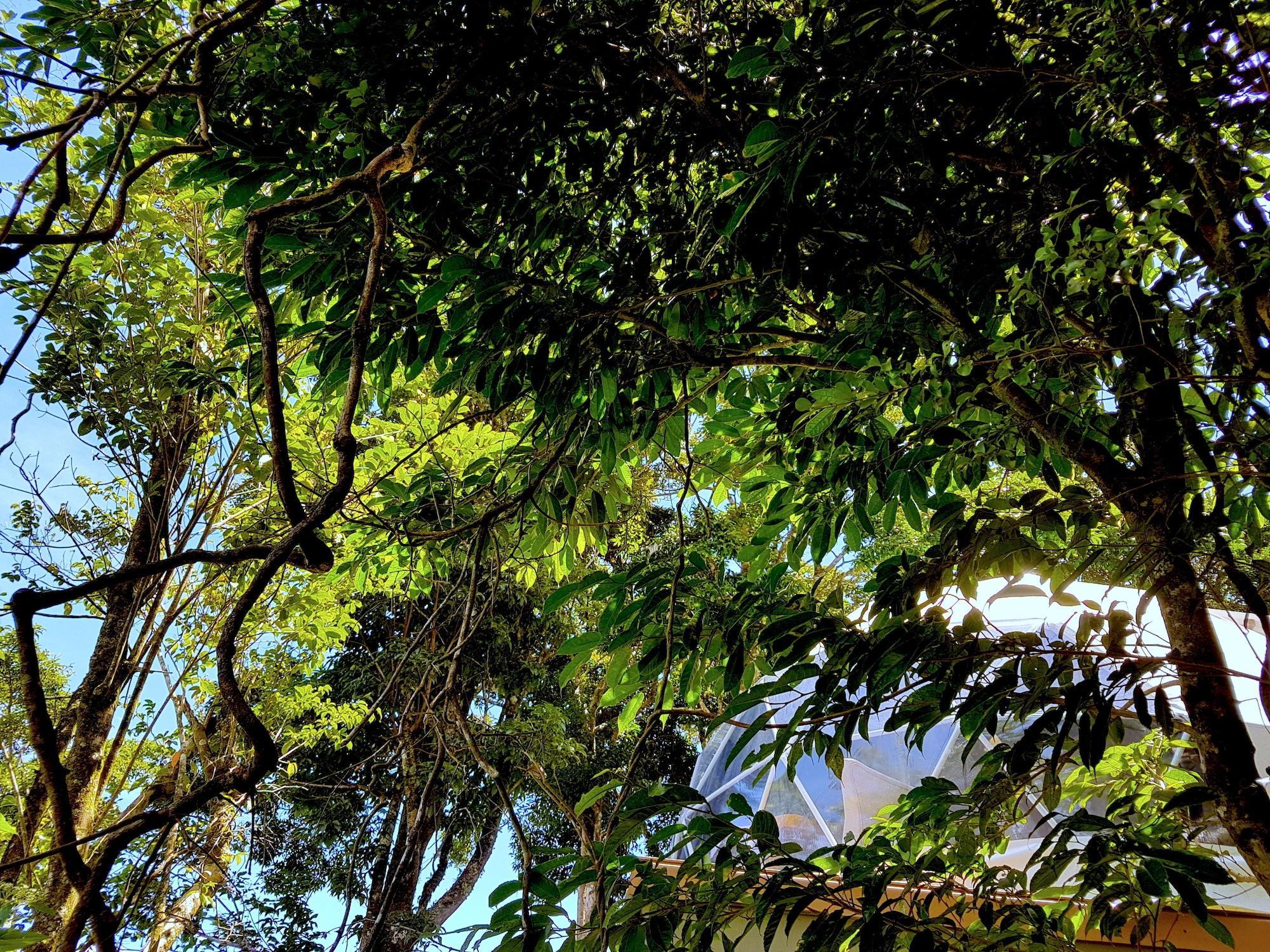Vista Exterior Chira Glamping Resort Monteverde