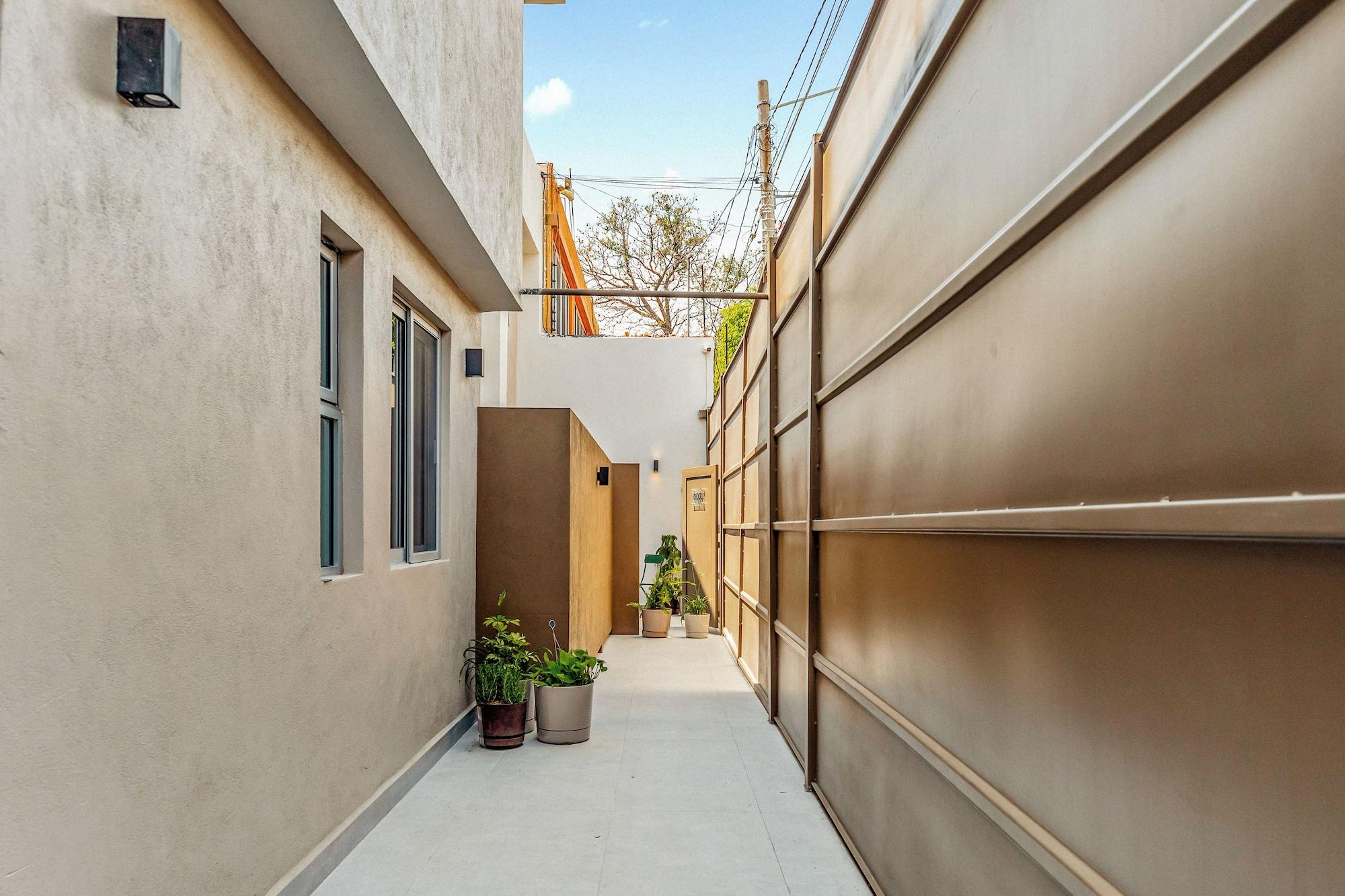 Varios Musgo by Homirent